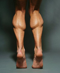 pantorrilla muscular